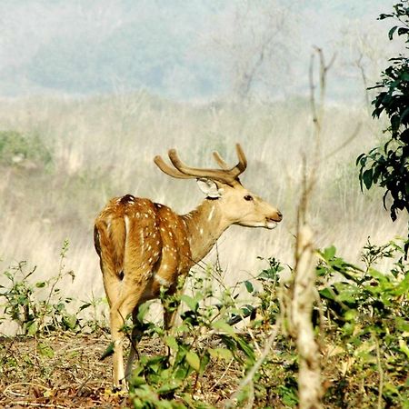 Ibishouse Farm Stay Bharatpur Eksteriør bilde