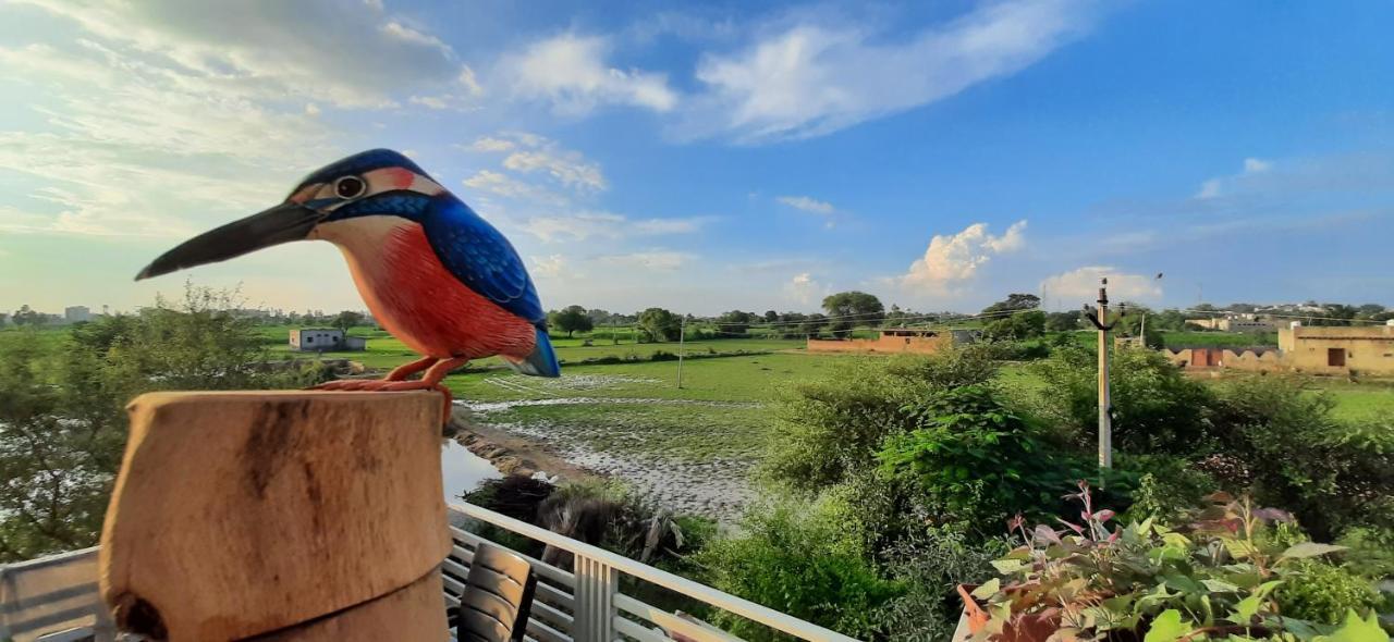Ibishouse Farm Stay Bharatpur Eksteriør bilde