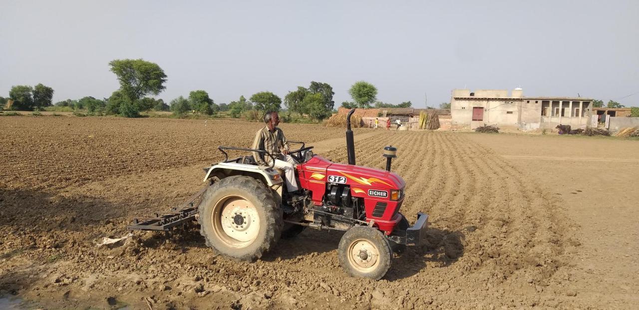 Ibishouse Farm Stay Bharatpur Eksteriør bilde