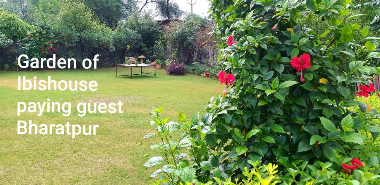 Ibishouse Farm Stay Bharatpur Eksteriør bilde