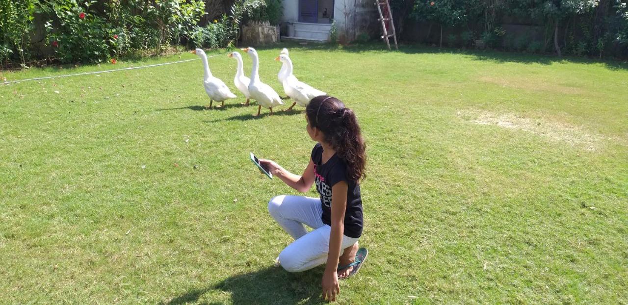 Ibishouse Farm Stay Bharatpur Eksteriør bilde
