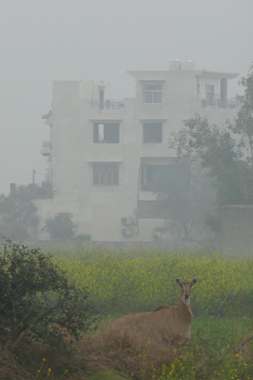 Ibishouse Farm Stay Bharatpur Eksteriør bilde